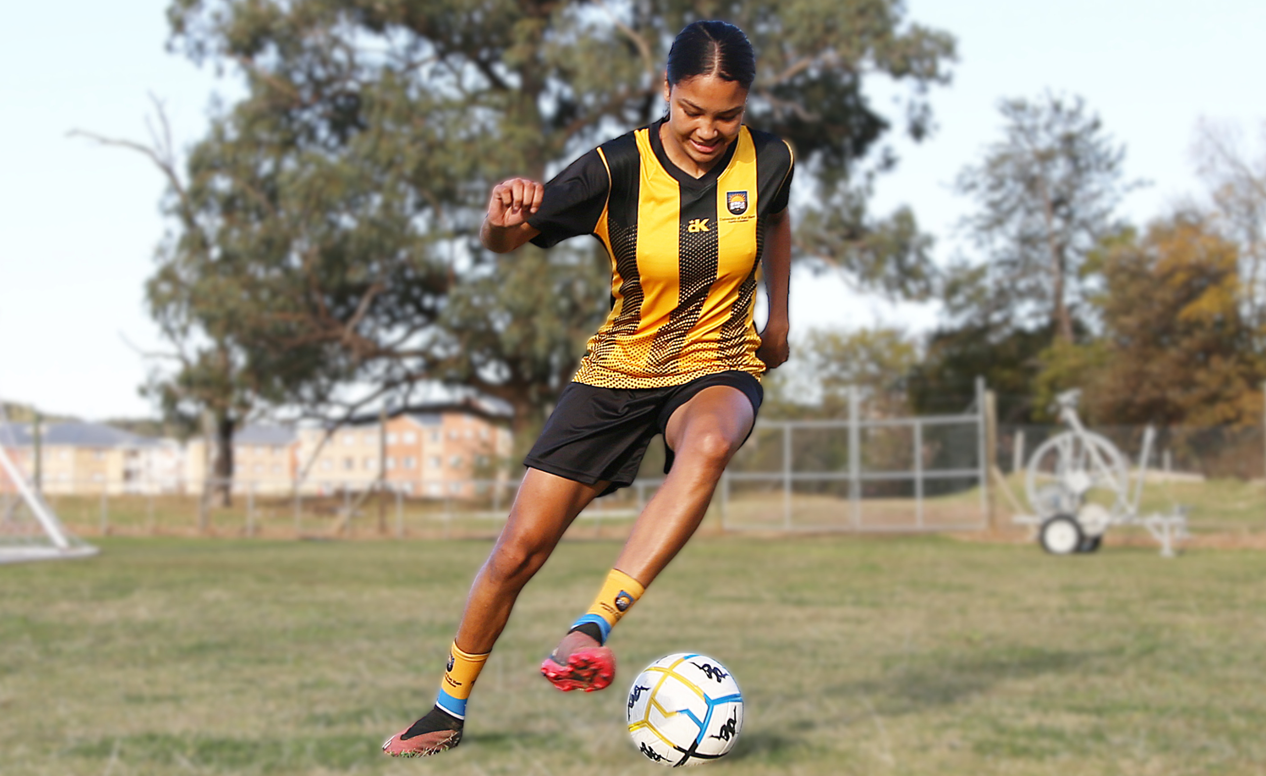 Baby Wolves Target Maximum Points in Crucial TUT Clash