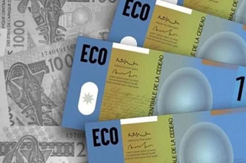 Guinea opts out of ECOWAS single currency ahead of Eco launch