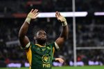 Kolisi’s Influence Shines as Springboks Take All Blacks Series Lead