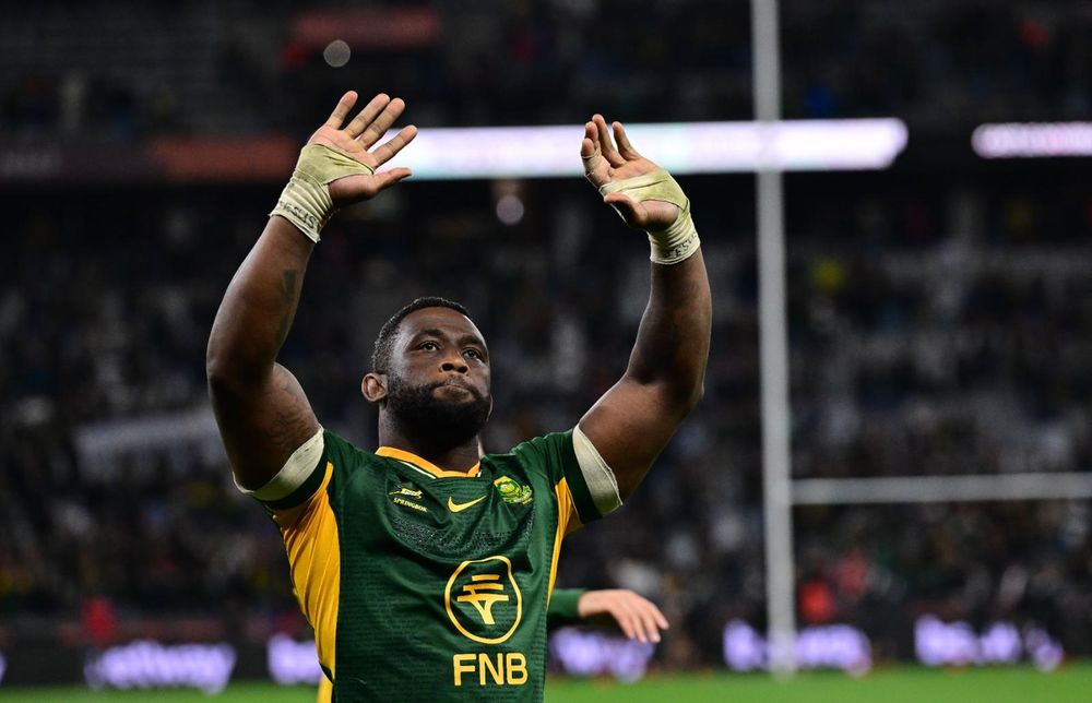 Kolisi’s Influence Shines as Springboks Take All Blacks Series Lead