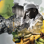African Economies Push For New Growth Beyond Traditional Sectors
