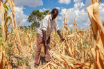 El Niño Drought Threatens To Deepen South Africa’s Poverty Crisis As Food Security Concerns Grow