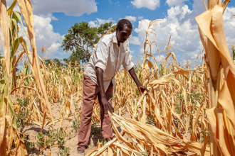 El Niño Drought Threatens To Deepen South Africa’s Poverty Crisis As Food Security Concerns Grow